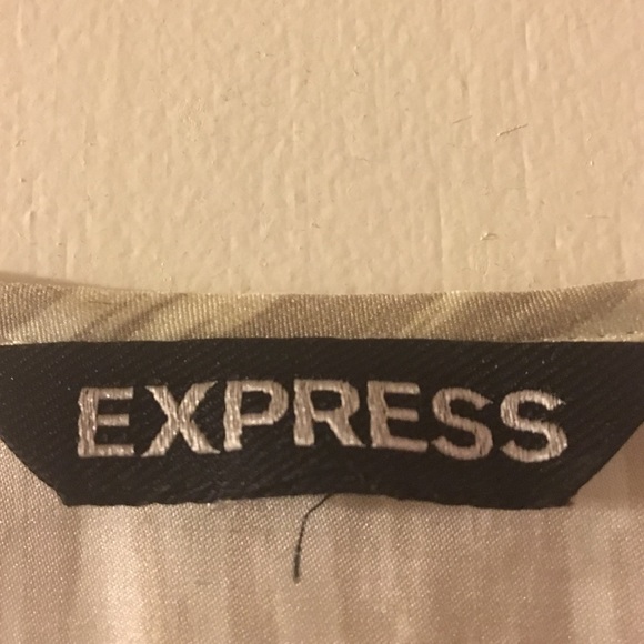 Express Dress - Picture 3 of 3