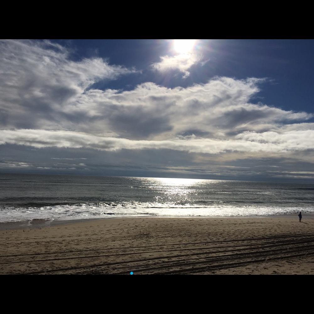 Meet your Posher, Leila