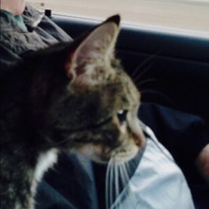 Meet your Posher, Marilyn