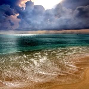 Meet your Posher, Dorothy