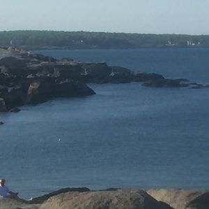 Meet your Posher, George