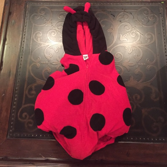 Halloween is coming 🐞 lady bug
