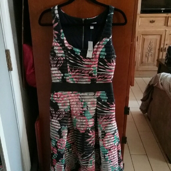 NEW YORK & CO MESH STRIPE MIDI FLARE DRESS (M) NWT