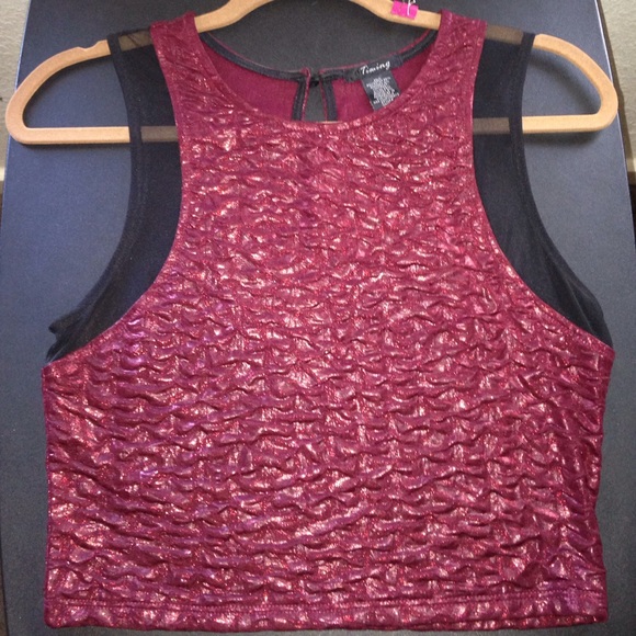 Metallic Red Crop Top with Sheer Accents - Picture 1 of 3