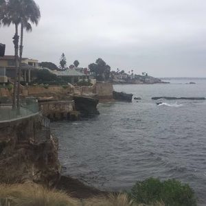 Meet your Posher, Shaina