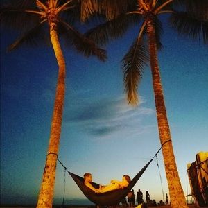 Meet your Posher, Anne