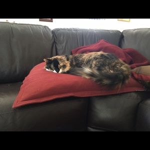 Meet your Posher, Kirsten