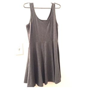 Express Skater Dress