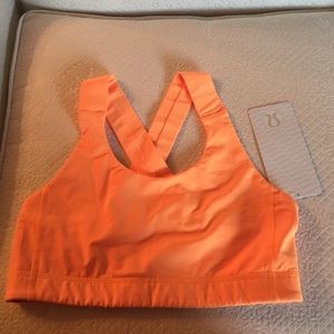 NWT Women's size 10 All Sports Bra
