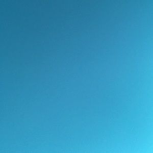 Meet your Posher, Ally