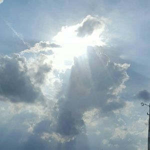 Meet your Posher, Dawn