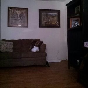 Meet your Posher, Abby