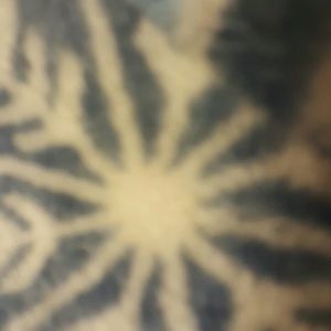 Meet your Posher, Cathy