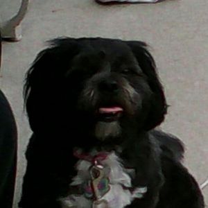 Meet your Posher, Bonnie