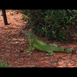 Meet your Posher, Scott