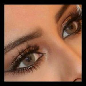 Authentic Solotica contacts Price firm no trades ☺