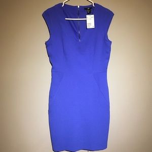 Periwinkle blue fitted sheath dress