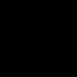 Meet your Posher, Zelma