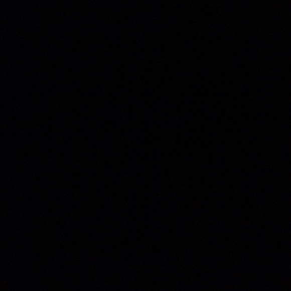 Meet your Posher, Maya - Picture 1 of 1