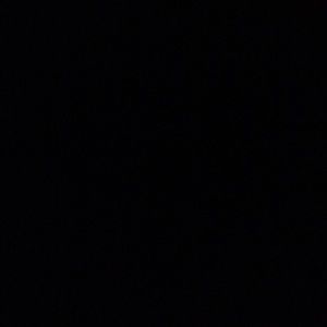 Meet your Posher, Maya