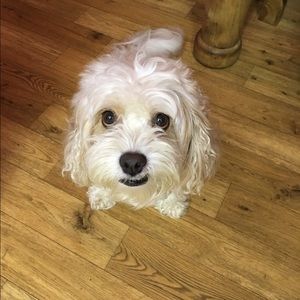 Meet your Posher, Jen