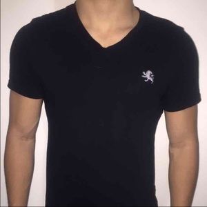 Mens Express V-Neck shirt