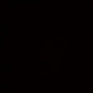 Meet your Posher, Jade