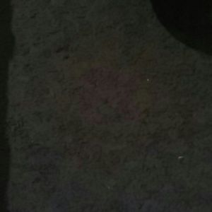 Meet your Posher, Javier