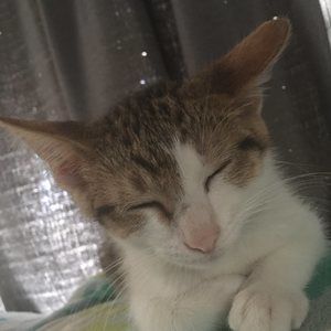 Meet your Posher, Cari