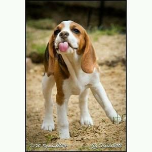 Meet your Posher, Anita