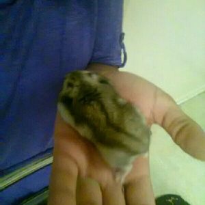 Meet your Posher, Chrissy