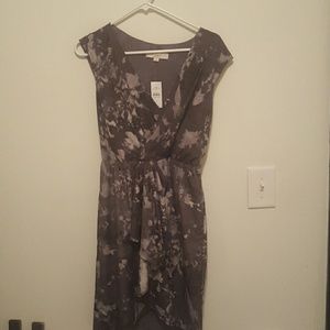 Ann Taylor Loft Dress 2