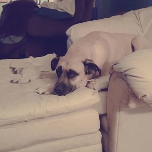 Meet your Posher, Deanna