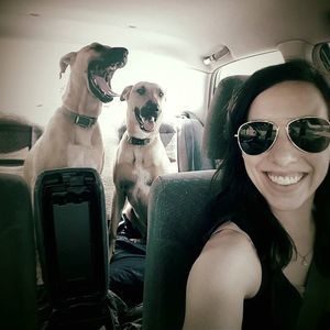 Meet your Posher, Brady