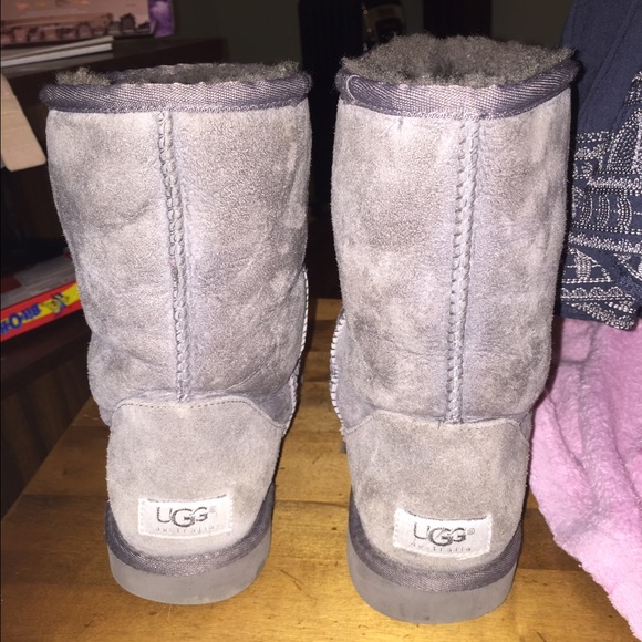 Grey classic short UGGs