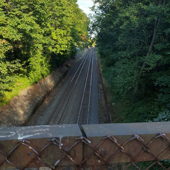 Meet your Posher, Renee - Picture 2 of 2