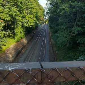 Meet your Posher, Renee