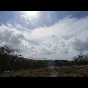 Meet your Posher, Annika