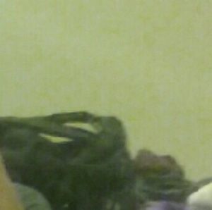 Meet your Posher, Denise