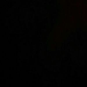 Meet your Posher, Liz