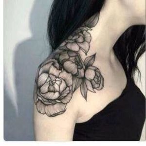 Meet your Posher, Chandra