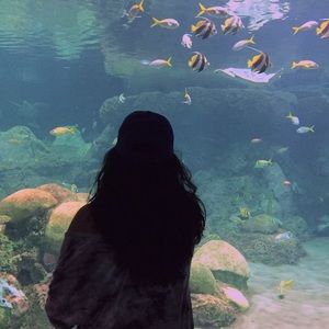 Meet your Posher, Elizabeth