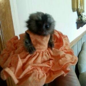 Meet your Posher, Jeff