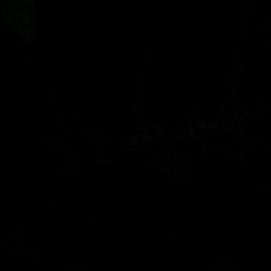 Meet your Posher, Miranda