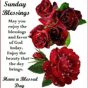 Meet your Posher, Parbatie