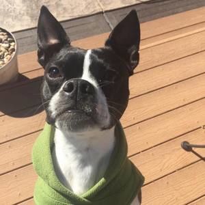 Meet your Posher, Kathie