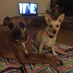 Meet your Posher, Tamara