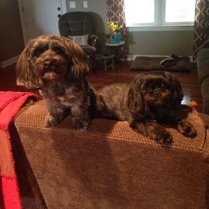 Meet your Posher, Cindy