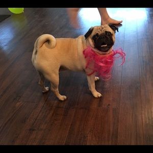 Meet your Posher, Mikaela