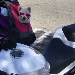 Meet your Posher, Char!💕